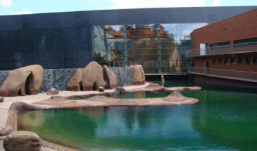 Wyroby marki Weber we wrocławskim Afrykarium
